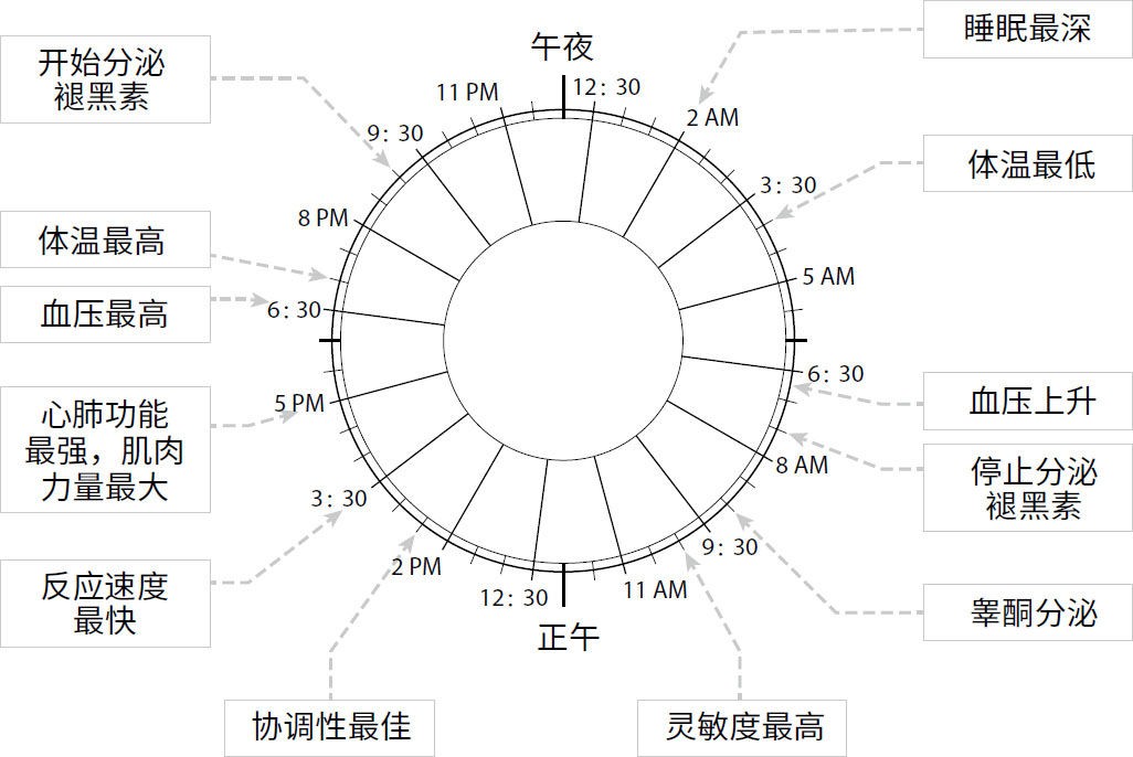 睡眠周期